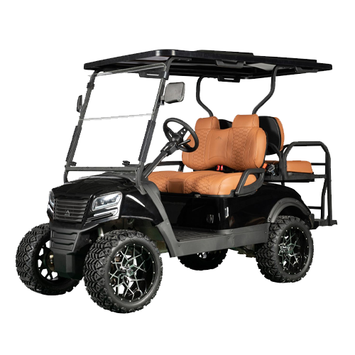 Sierra LSV AX2 Golf Cart